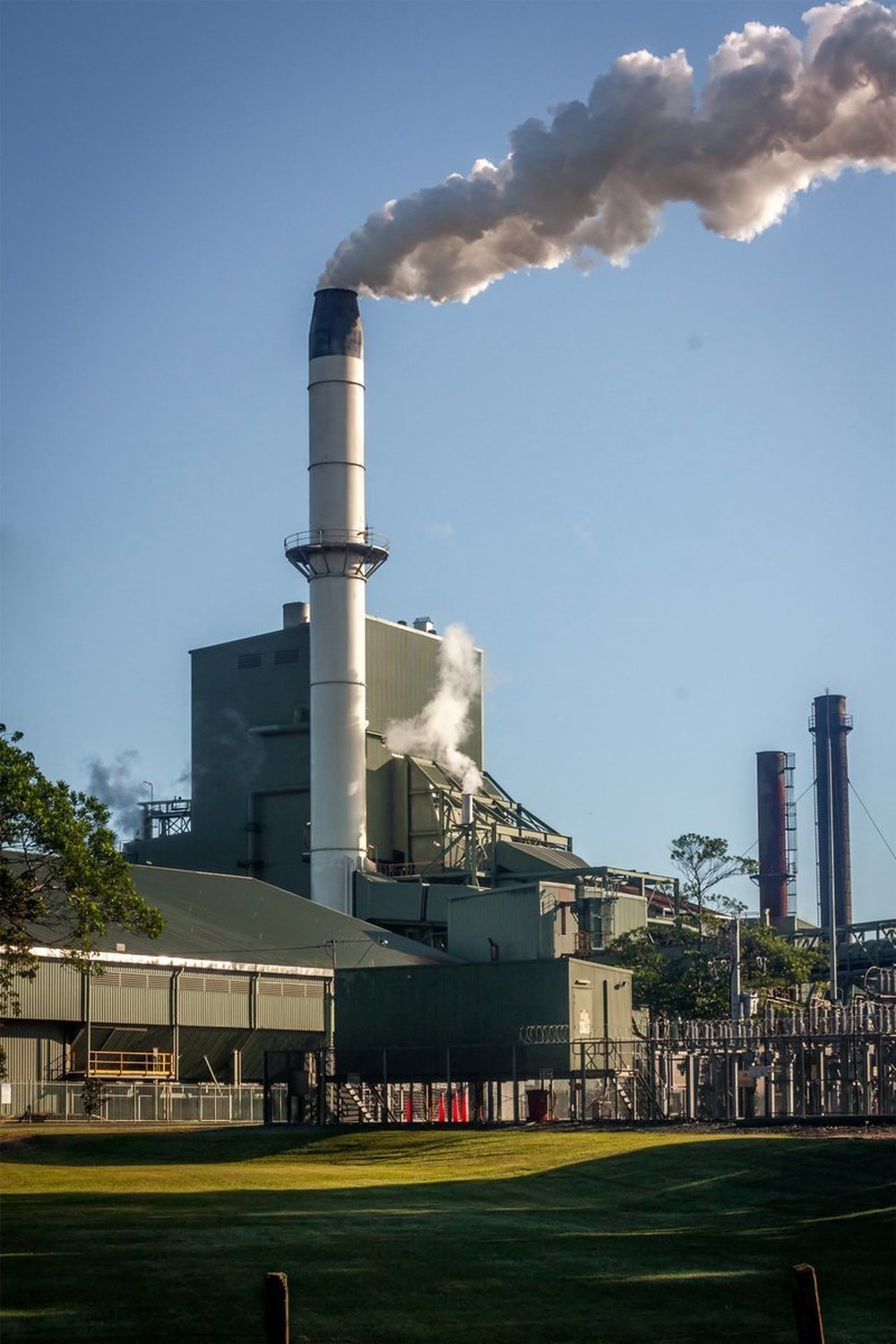 Climate Change Media Activists and Nicotine