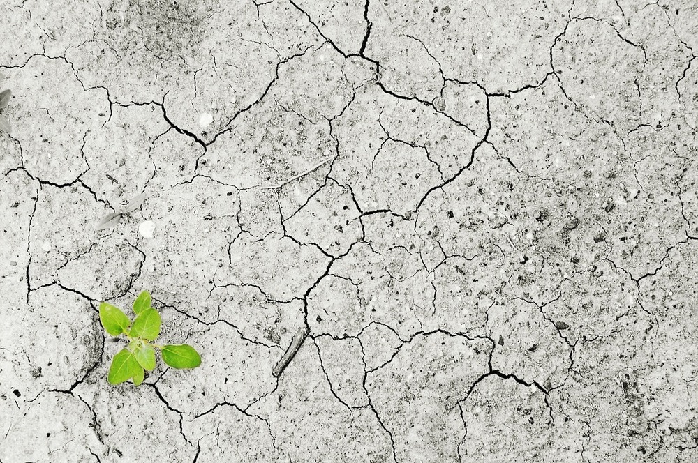 Benefits of Using Wallpapers as a Climate Change Media Tool